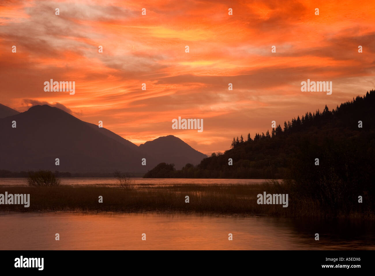 Alba sul lago di Bassenthwaite, Lake District, Cumbria Foto Stock