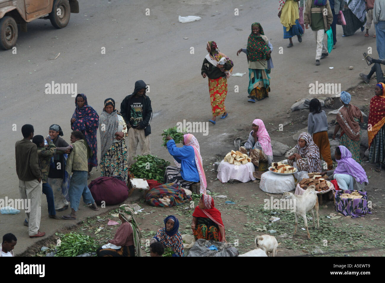 Harar, Etiopia, donne vendere mazzi di qat per gli acquirenti del mercato Foto Stock