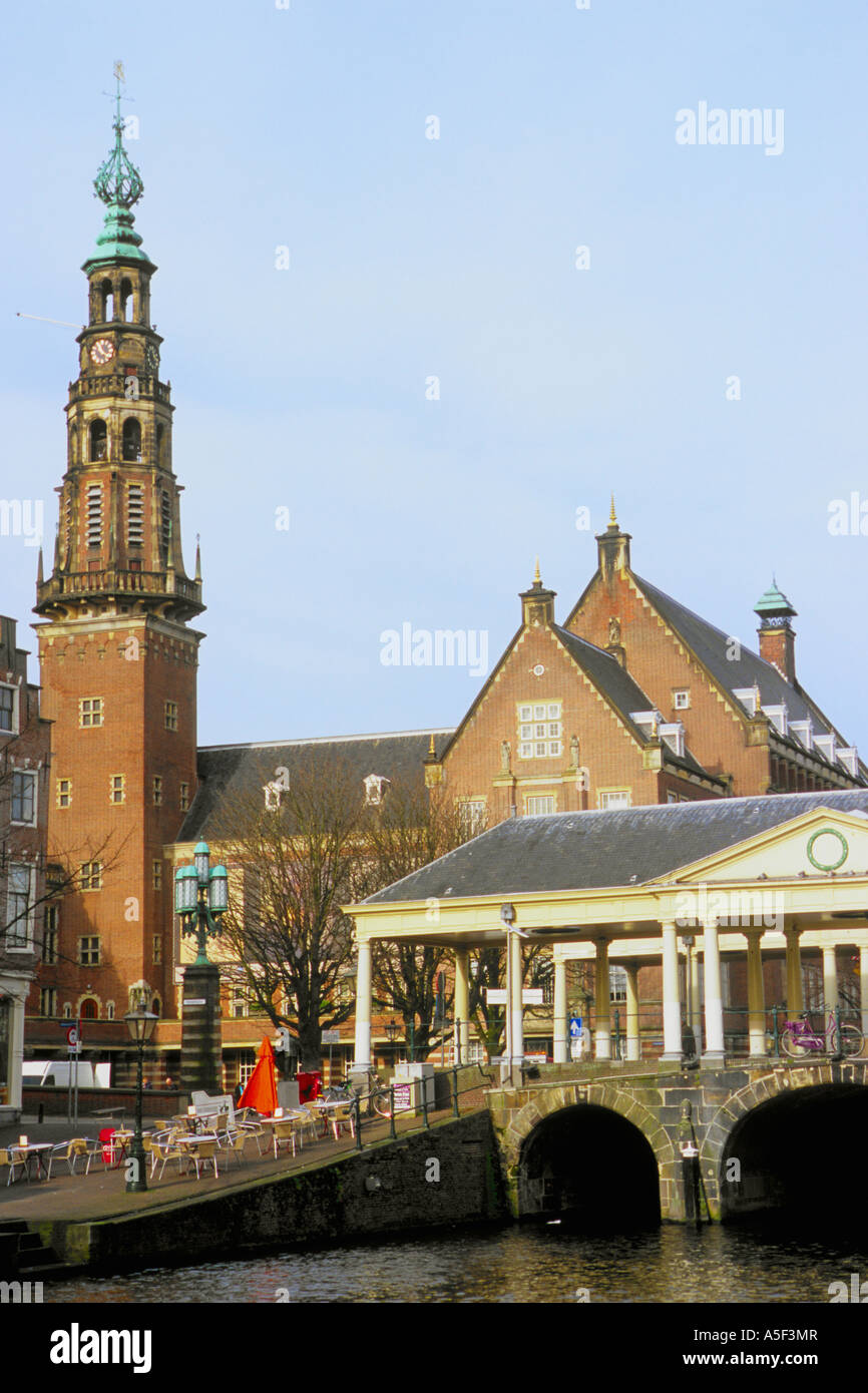 Paesi Bassi Leiden Municipio Foto Stock