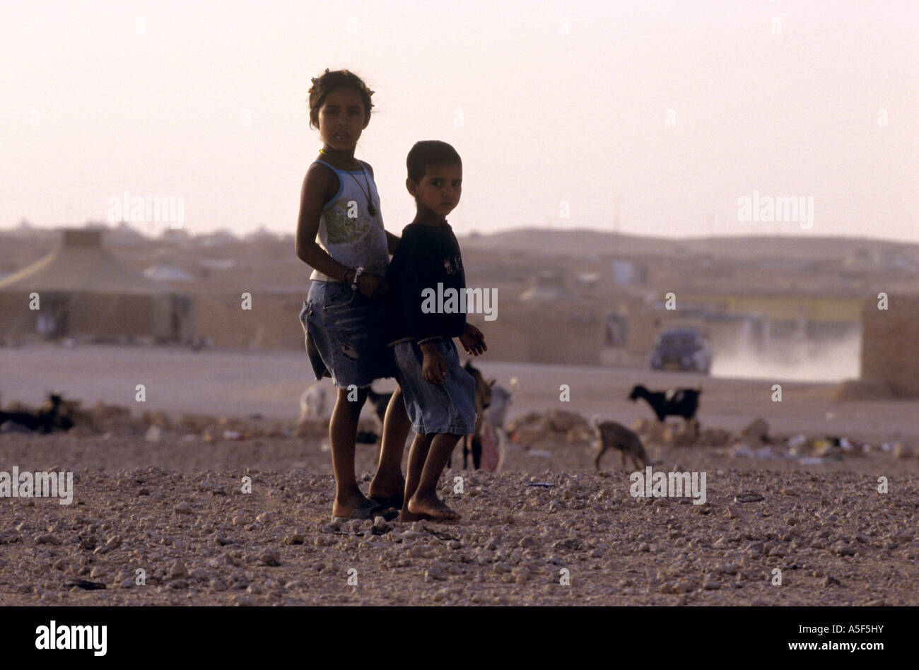 Un gruppo di bambini Saharawi del campo profughi Saharawi a Tindouf Algeria occidentale Foto Stock