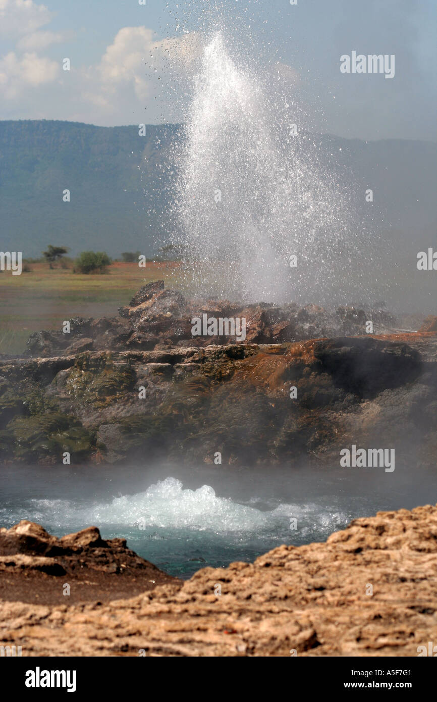 KENYA: un acqua calda naturale geyser a Lake Baringo kenya, safari primavera calda Foto Stock