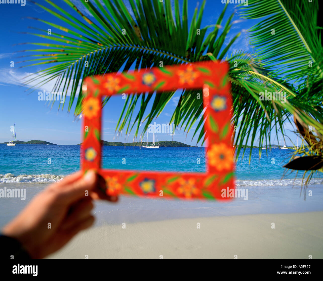 Lato telaio di contenimento che mostra in barca a vela e in scena tropicale St John U S Vergine Isole dei Caraibi Foto Stock