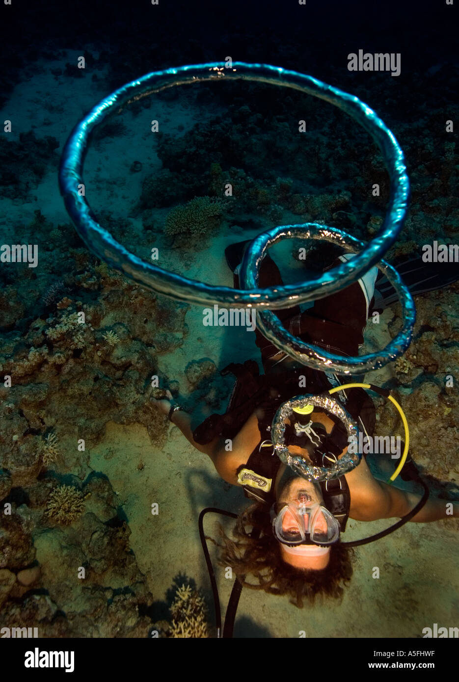 Un subacqueo soffia anelli di bolla sotto l'acqua a Sharm el Sheikh Egitto Foto Adam Butler Foto Stock