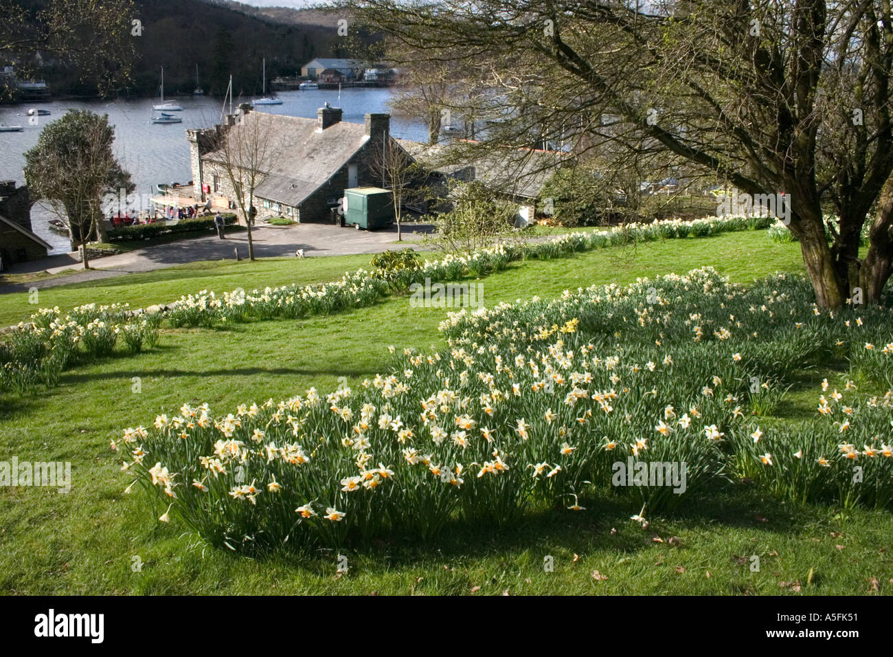 Fiori di Primavera è sceso a piedi il paese parco lago Windermere Cumbria Foto Stock