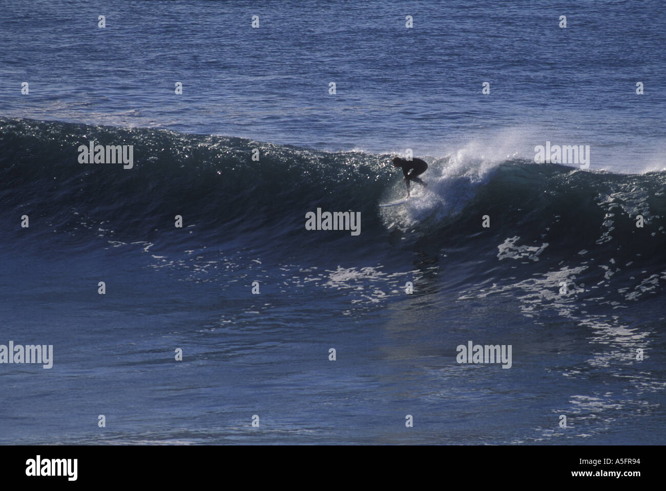 Australia Victoria Surfers allo spuntar del giorno ride 1 da 5 a 2 metri si rigonfia off Bell s Beach in Torquay lungo la costa meridionale Foto Stock