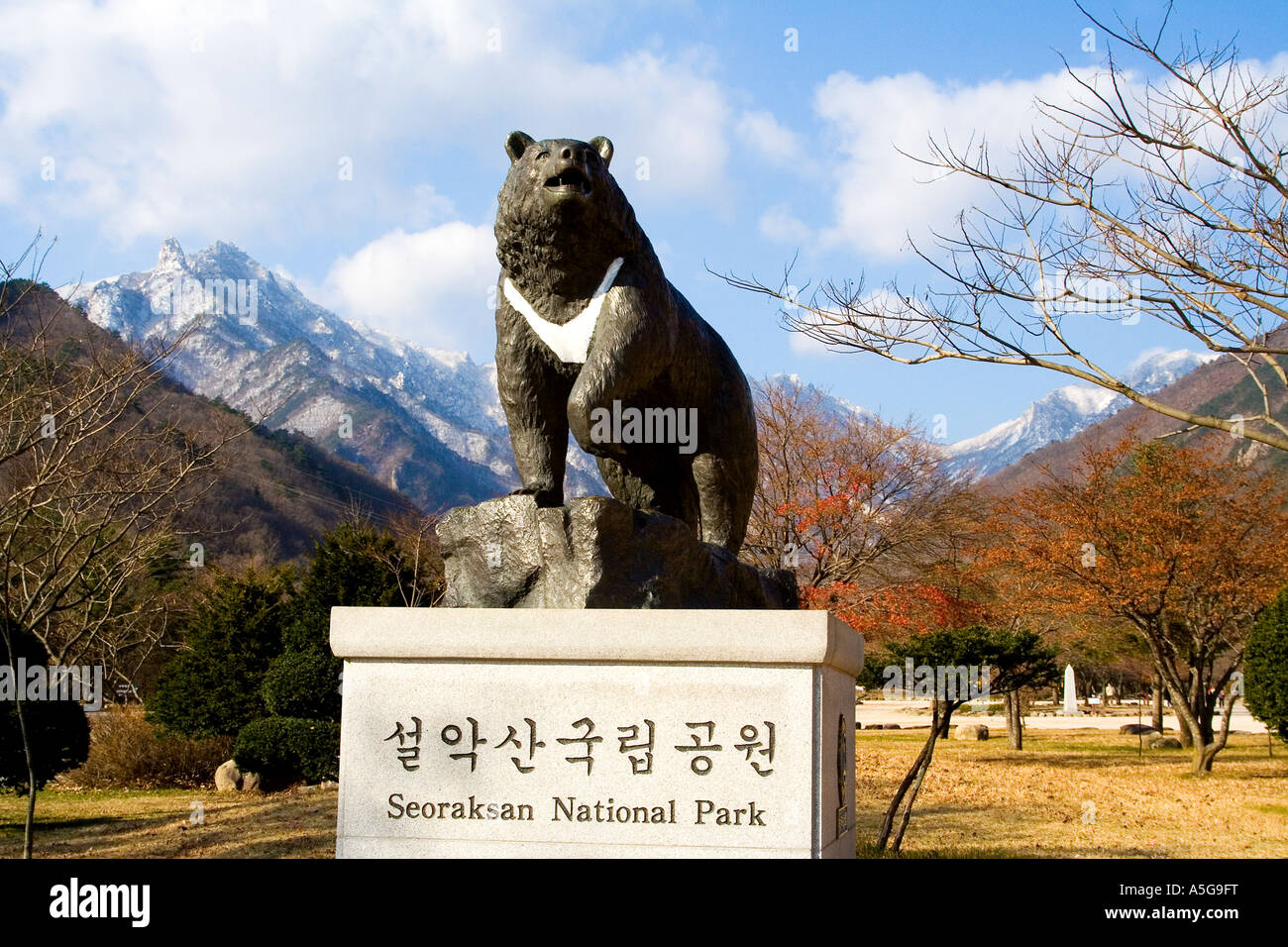 Bear statua ad ingresso a Seoraksan Parco Nazionale della Corea del Sud Foto Stock