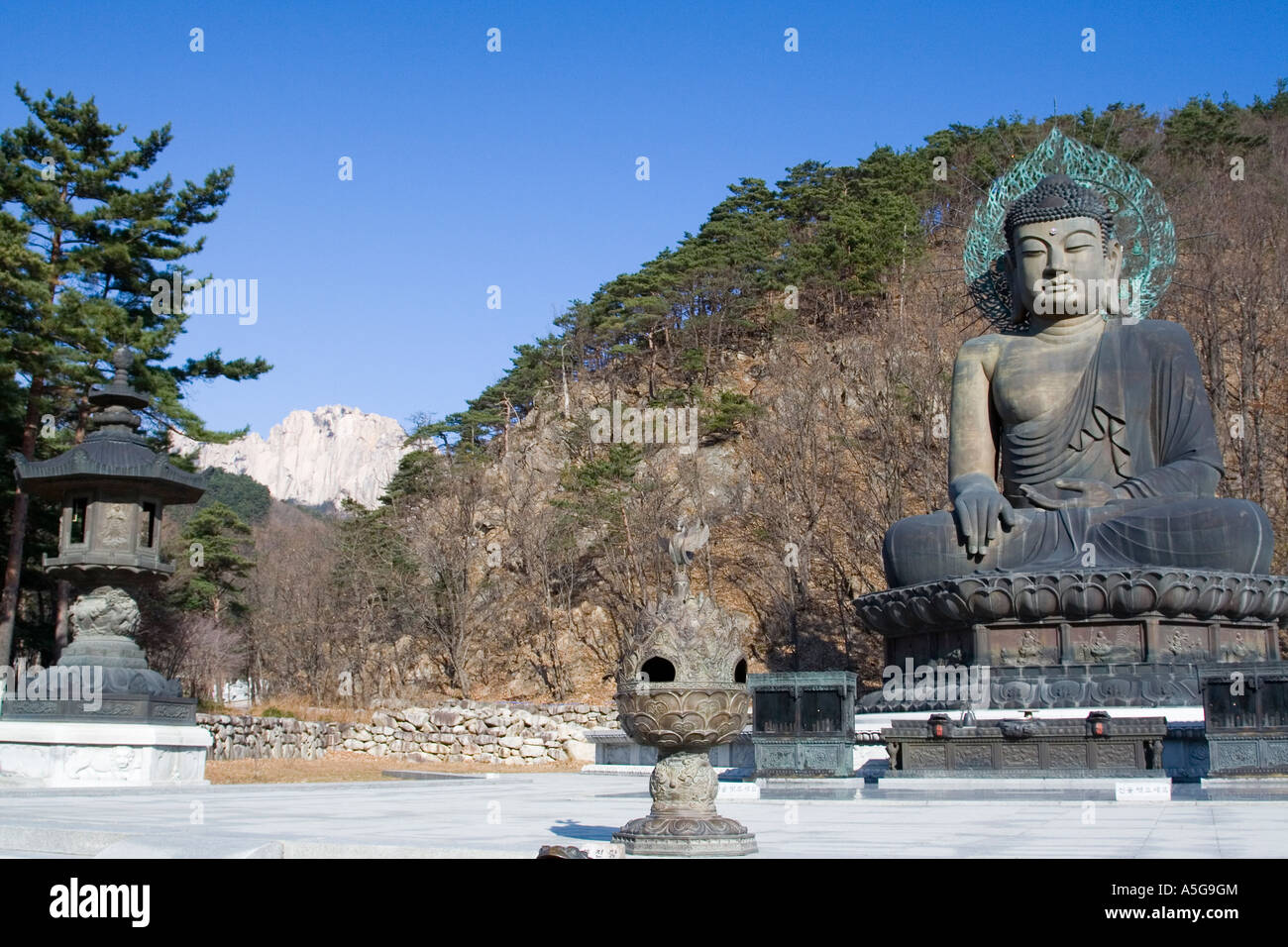 Enorme statua del Buddha Seoraksan Parco Nazionale della Corea del Sud Foto Stock