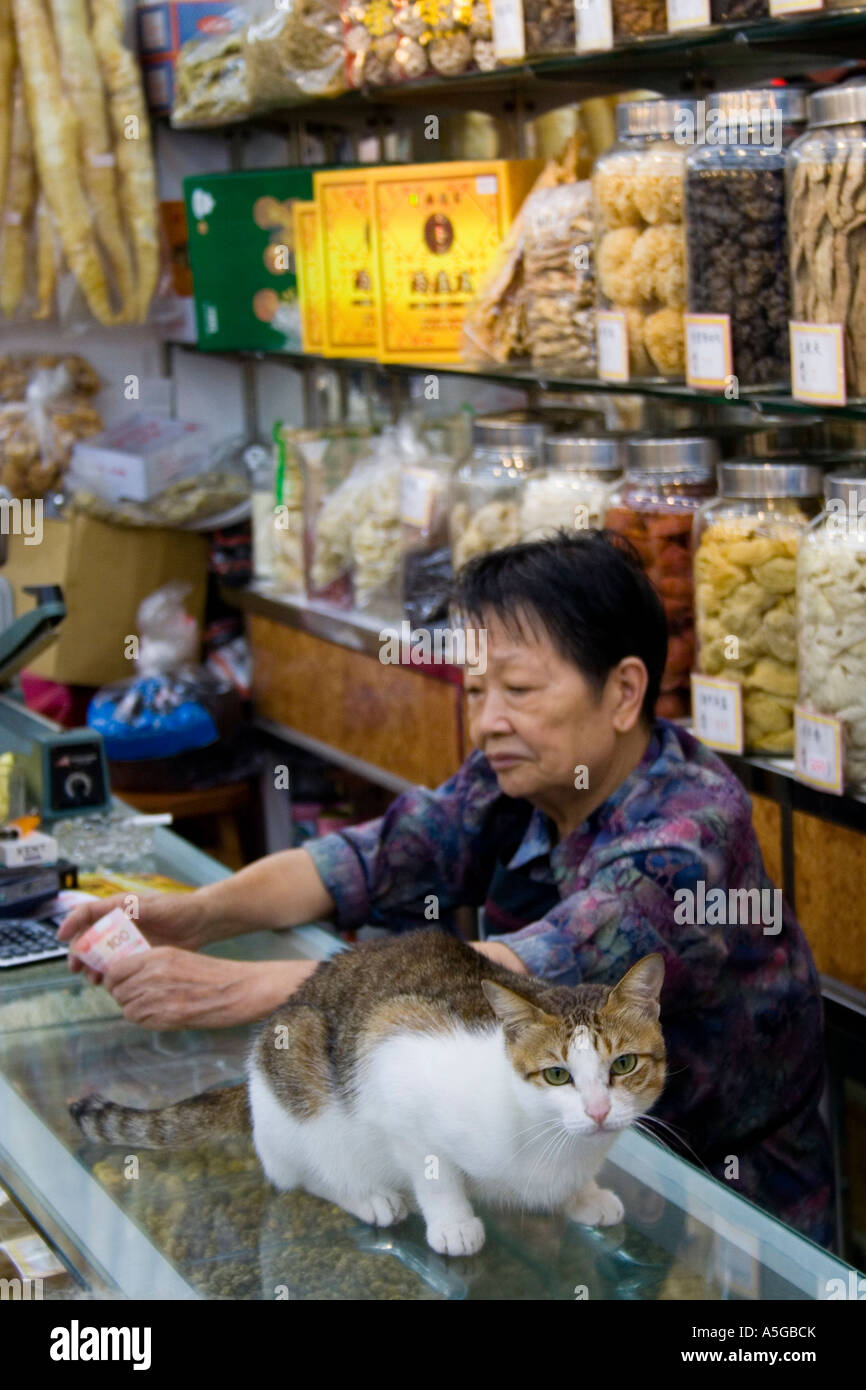 Donna cinese e Cat all'interno di merci secche Shop Hong Kong Cina Foto Stock
