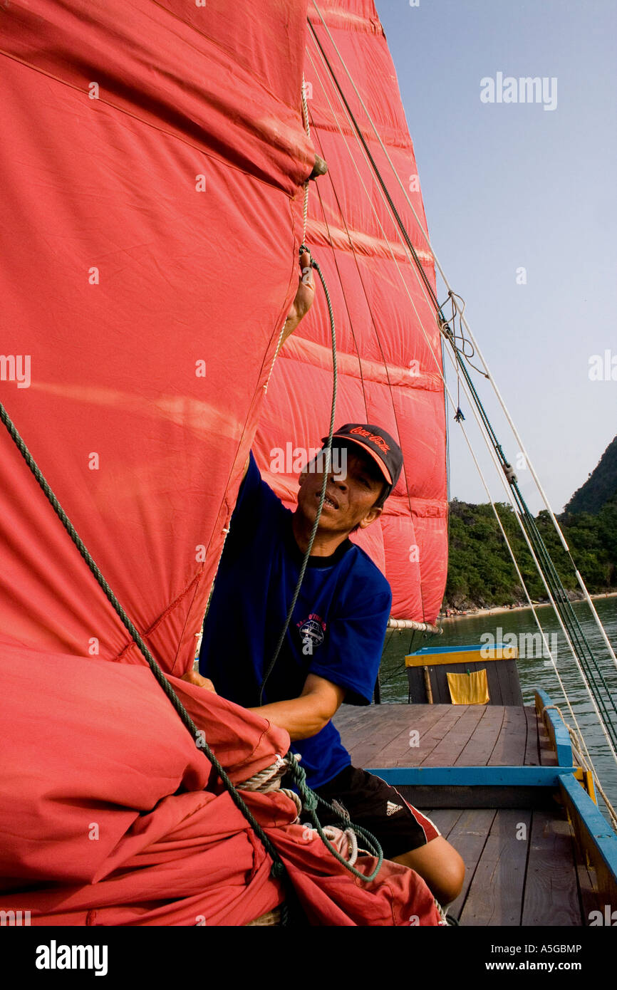 Uomo vietnamita sollevamento vele rosso in cinese tradizionale vela indesiderata, Halong Bay, Vietnam Foto Stock