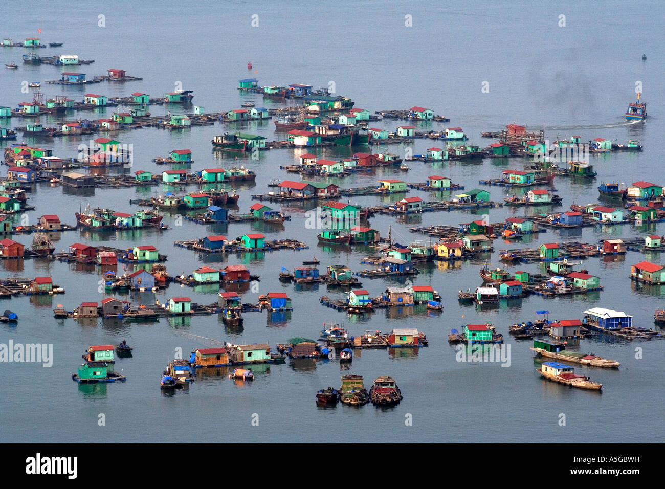 Villaggio galleggiante Catba Island Halong Bay Vietnam Foto Stock