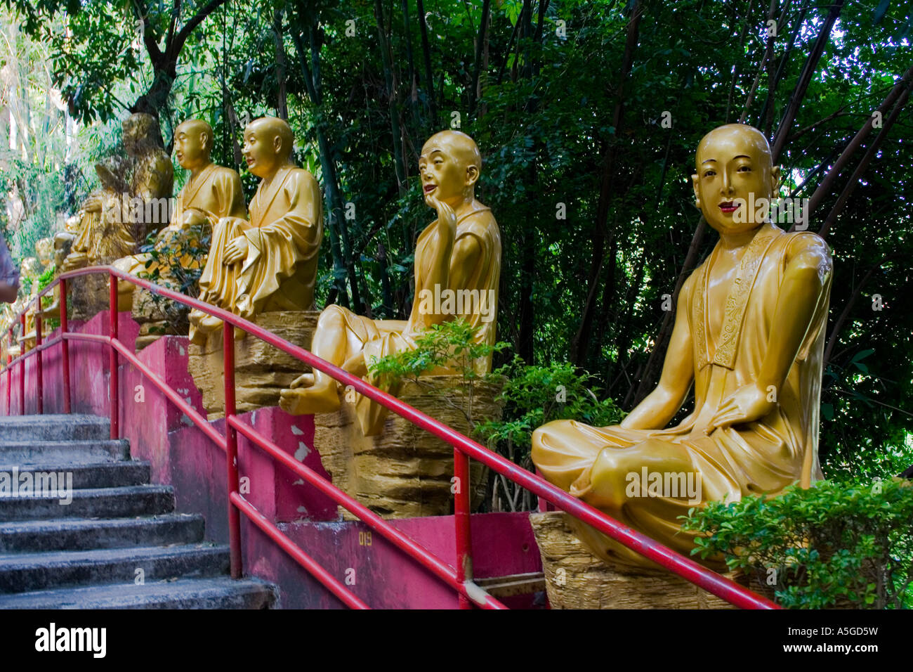 Diecimila Diecimila Buddha Monastero Shatin Hong Kong Cina Foto Stock