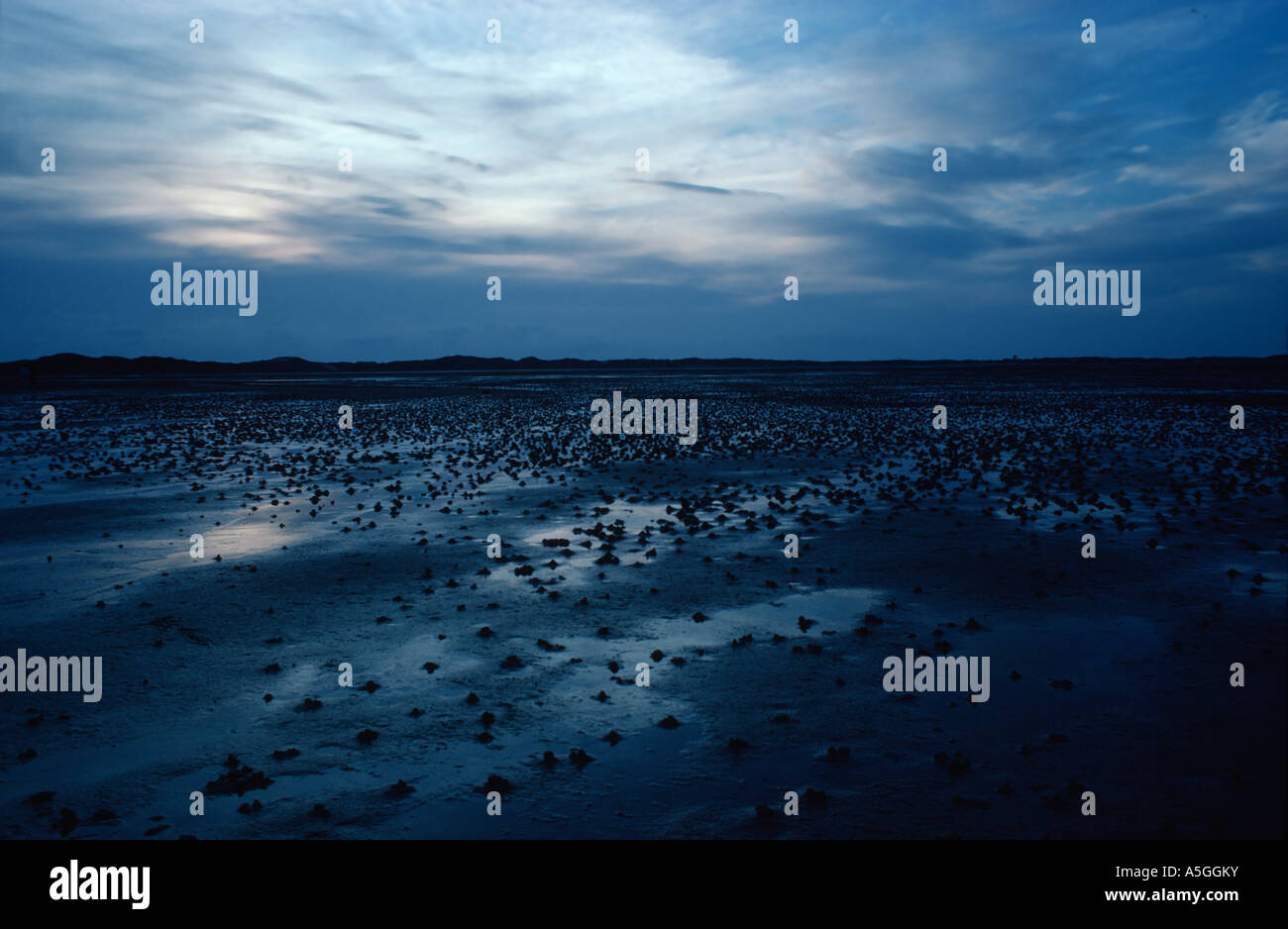 La bassa marea nel crepuscolo serale, Germania, Schleswig-Holstein Foto Stock