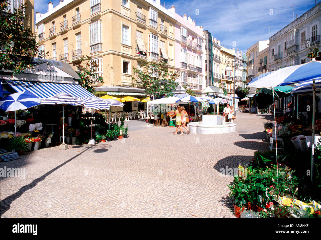 Cadice, Plaza De La Topete Foto Stock