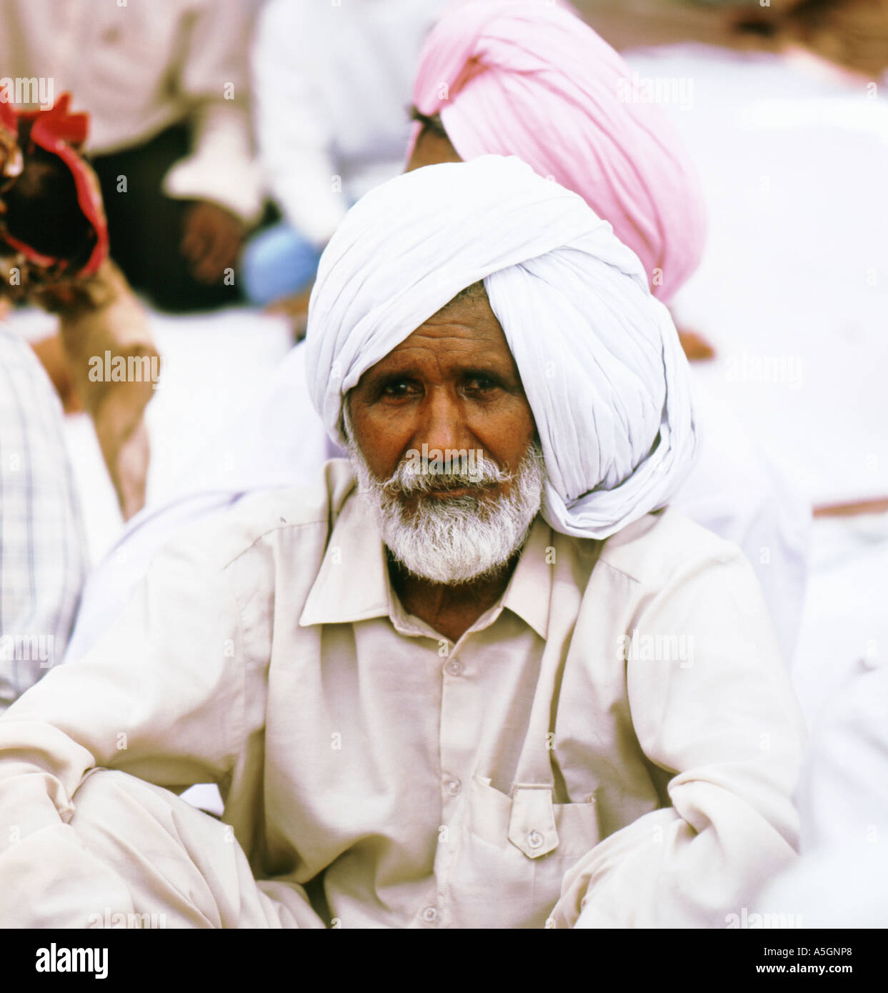 Uomo a Indian cerimonia di nozze Foto Stock