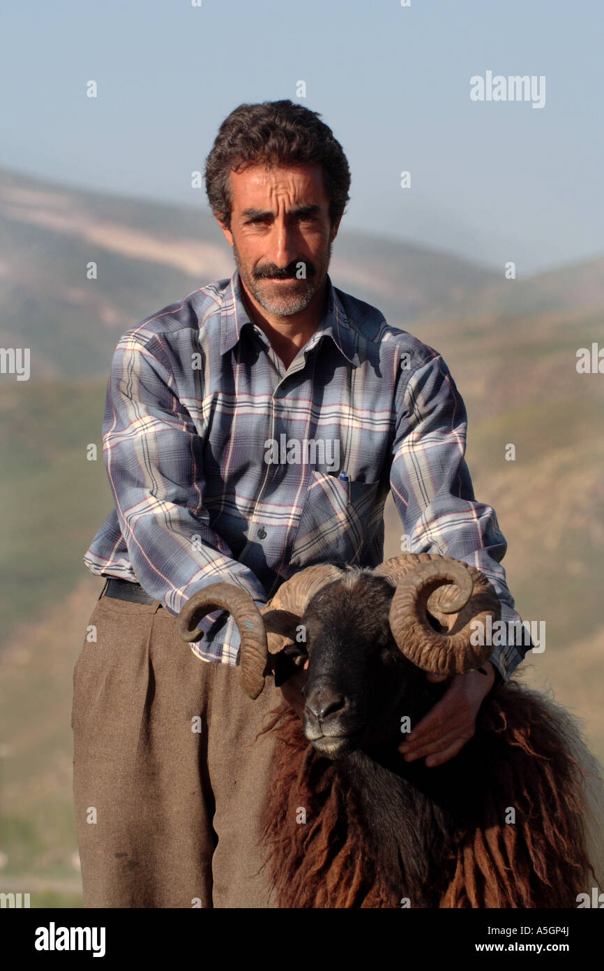 Gli animali domestici delle specie ovina (Ovis ammon f. aries), curdi Pastore con pecora buck, Turchia, Van Foto Stock