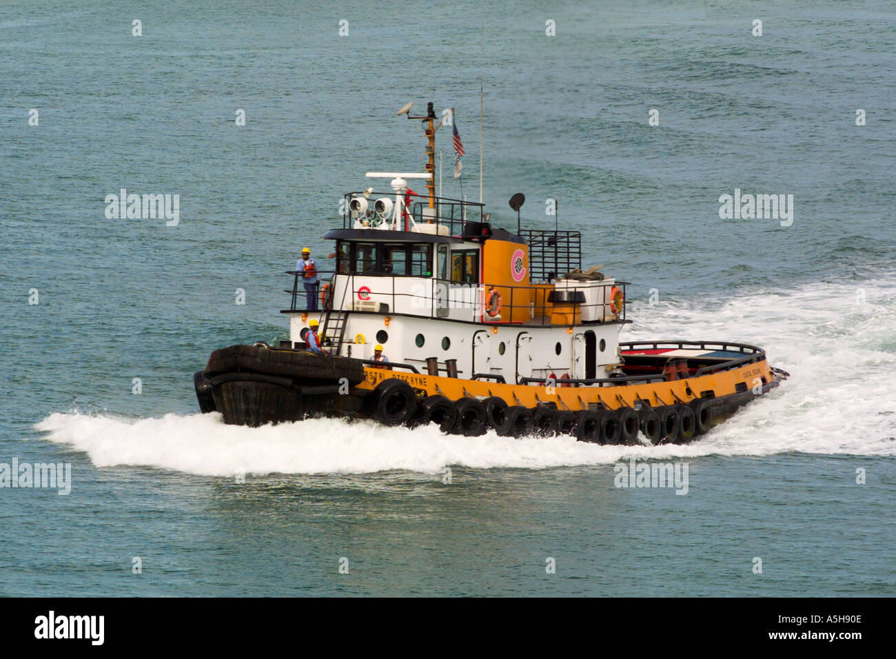 Tirare in barca a vela al fianco di nave da crociera nel Porto di Tampa FL Foto Stock