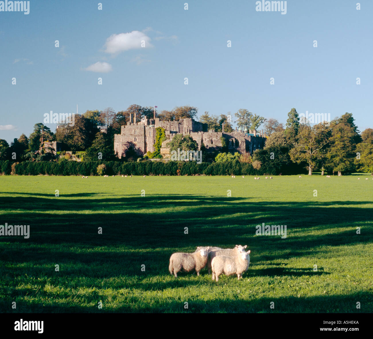 Berkeley Castle nella contea di Gloucestershire, Inghilterra. Costruito per difendere la Severn Estuary e confine gallese. Date dal 1117 Foto Stock