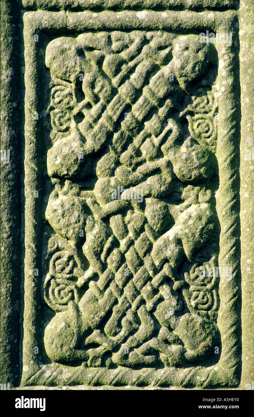 Pannello di albero di dettaglio della Croce alti anche chiamato Muiredach's Cross a Monasterboice, nella contea di Louth. Celtic interlace design. Foto Stock