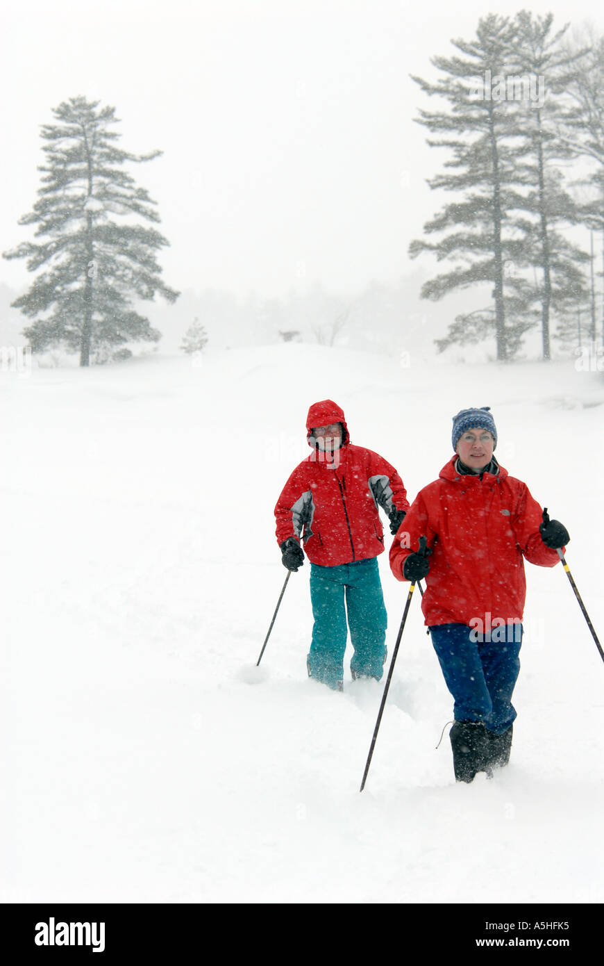 Inverno attività outdoor sci di fondo Foto Stock