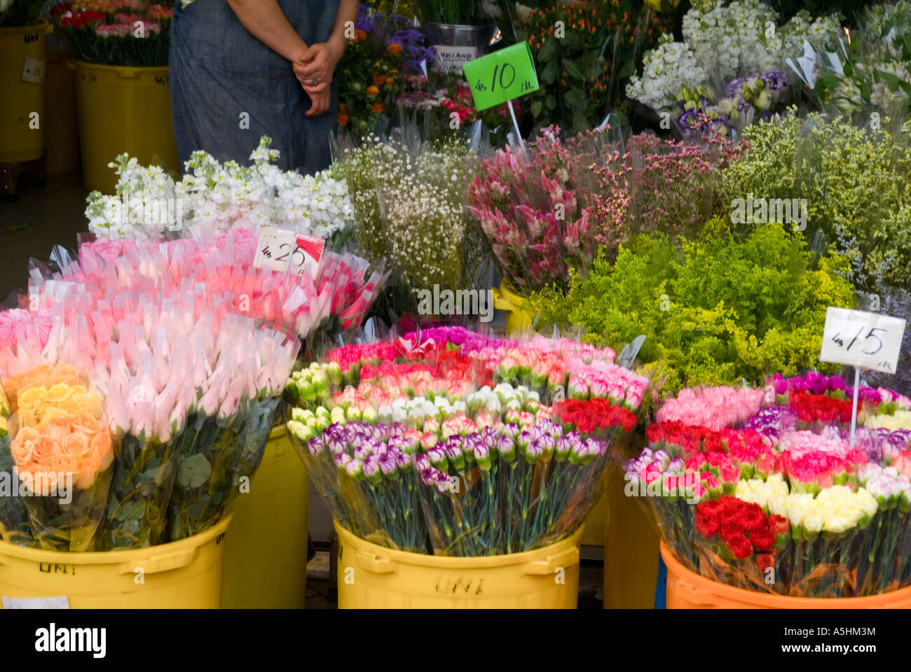 Asia Cina Hong Kong Kowloon Mongkok mercato dei fiori Foto Stock