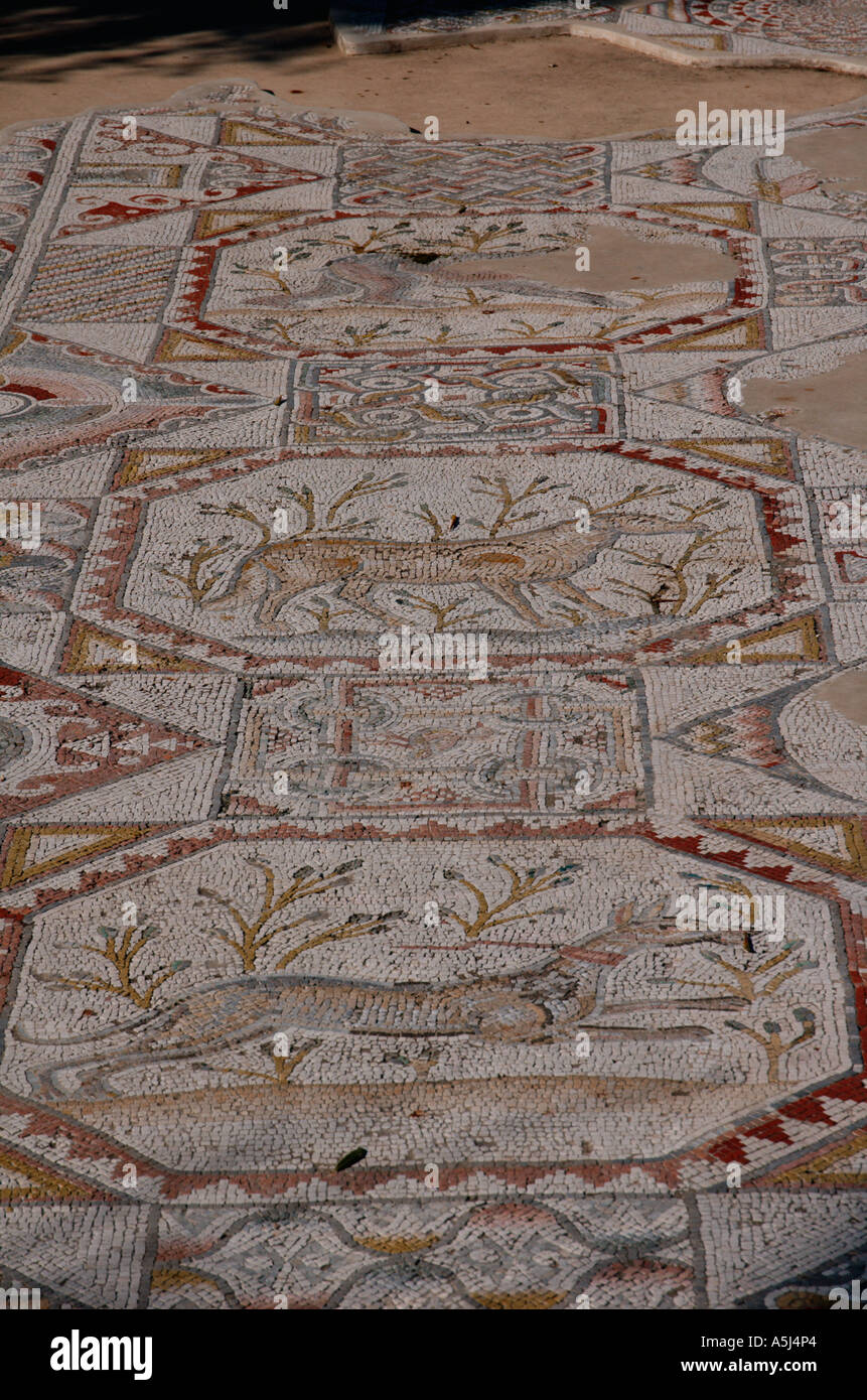 Segmento di un pavimento a mosaico di un monastero in Bet Guvrin Israele vi secolo D.C. Foto Stock