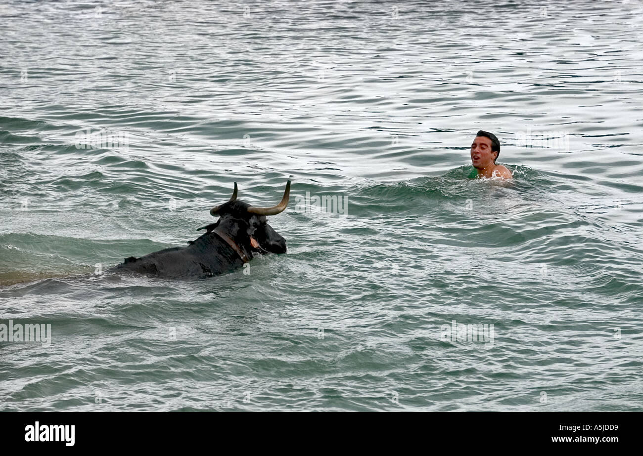 Tori in mare, Denia, Spagna. Credito Foto: Brian Hickey/Alamy Foto Stock