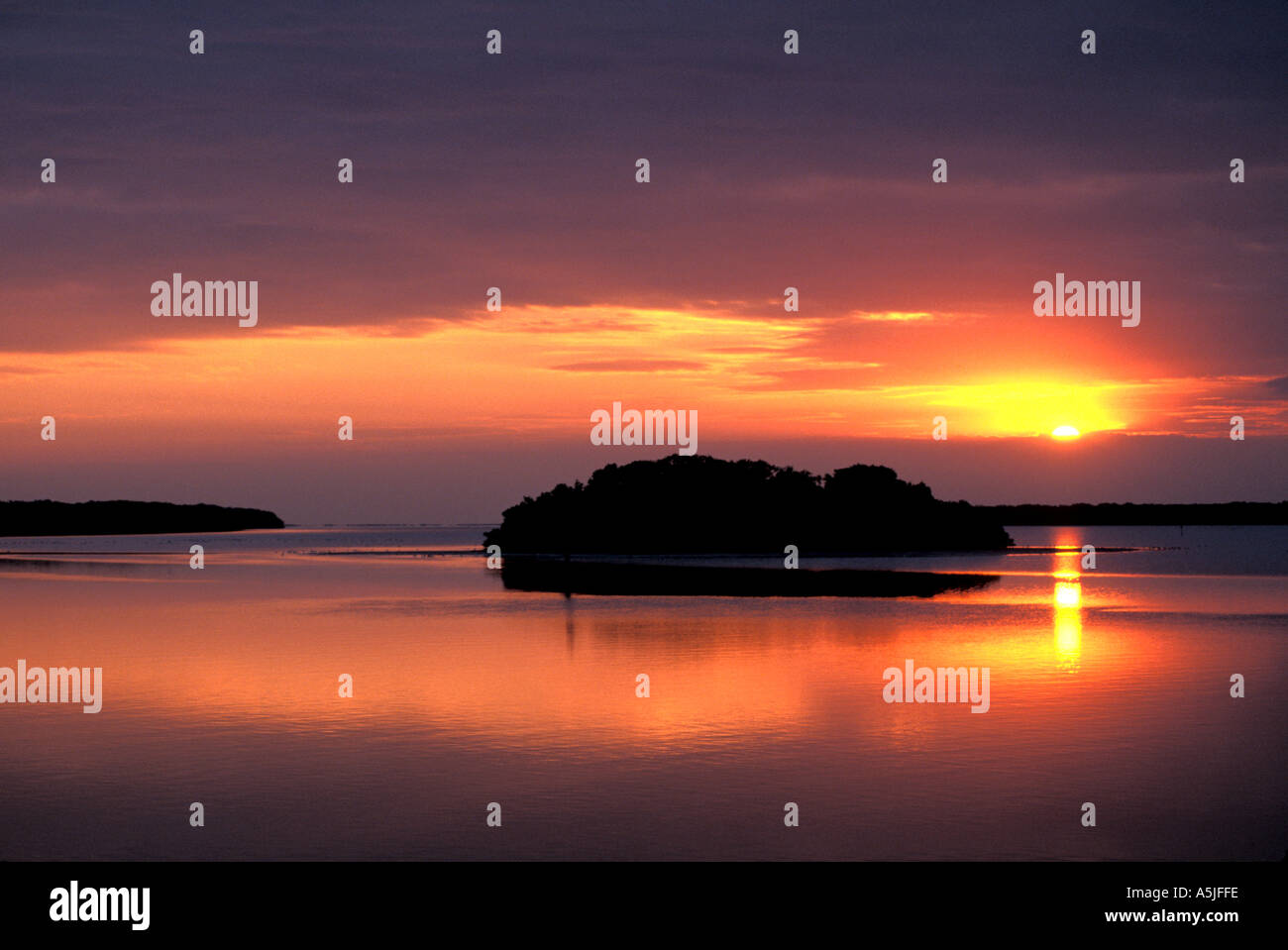 Florida Everglades National Park mangrove isola vicino a Flamingo a sunrise Foto Stock