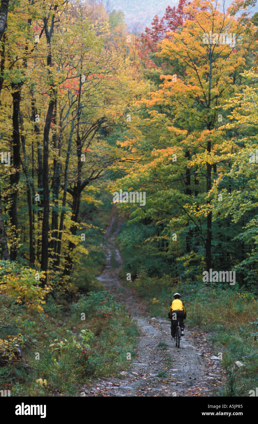 Rientrano nel Vermont s montagne verdi Mountain bike su una vecchia strada di registrazione sul versante nord della collina di riso Wardsboro VT Foto Stock