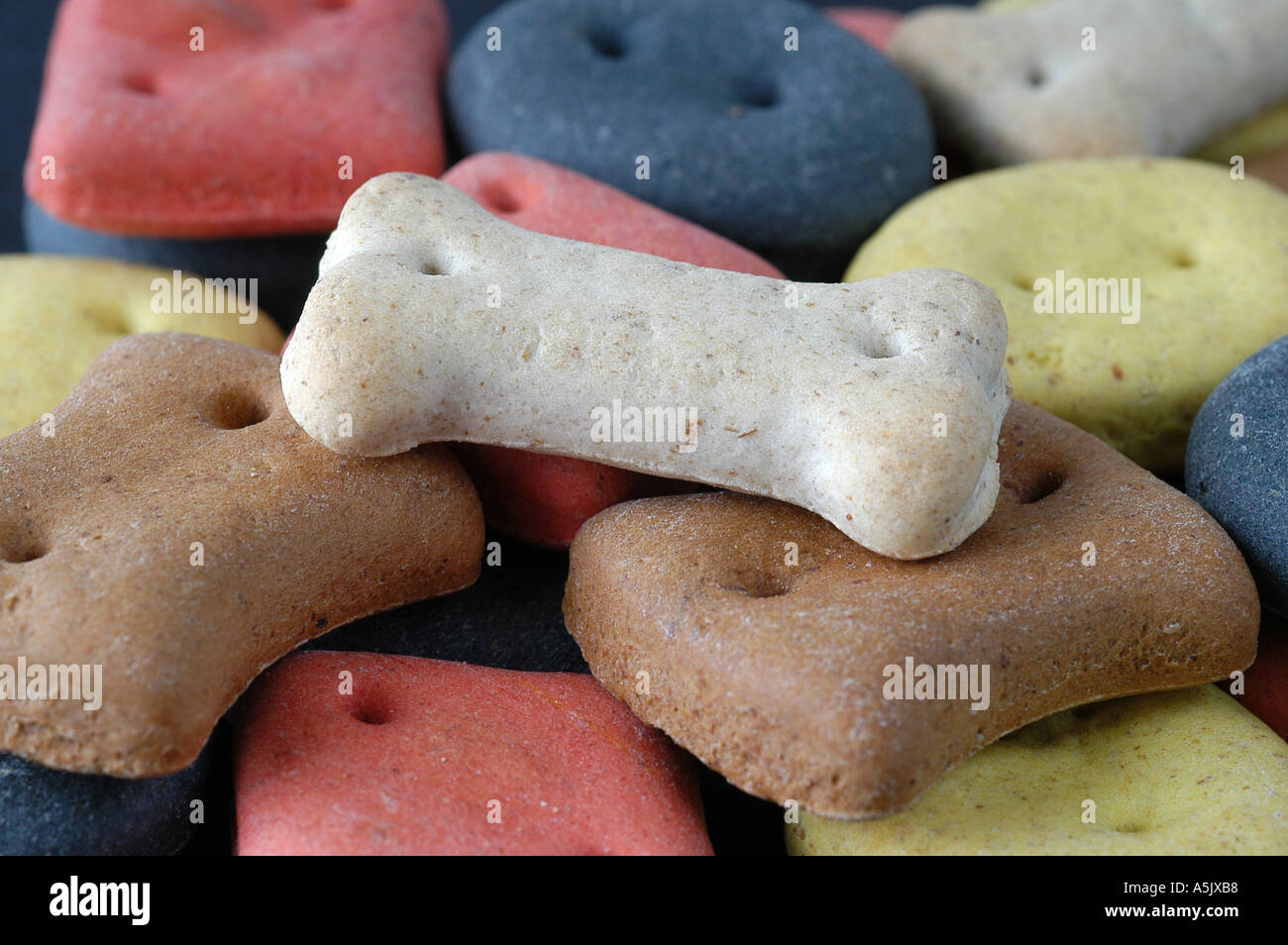 Biscotti per cani Foto Stock