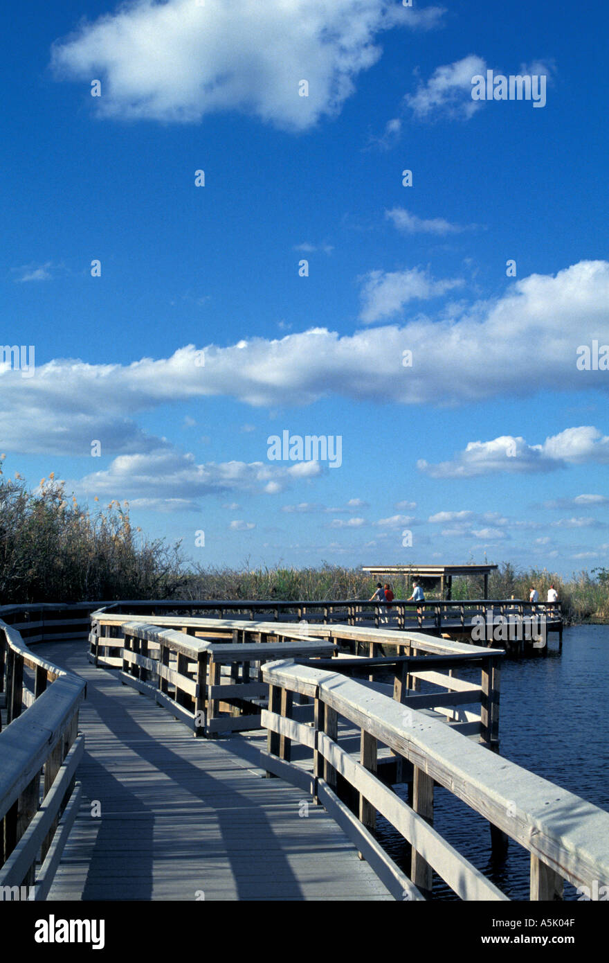 Florida Everglades National Park Trail Anhigna boardwalk Foto Stock