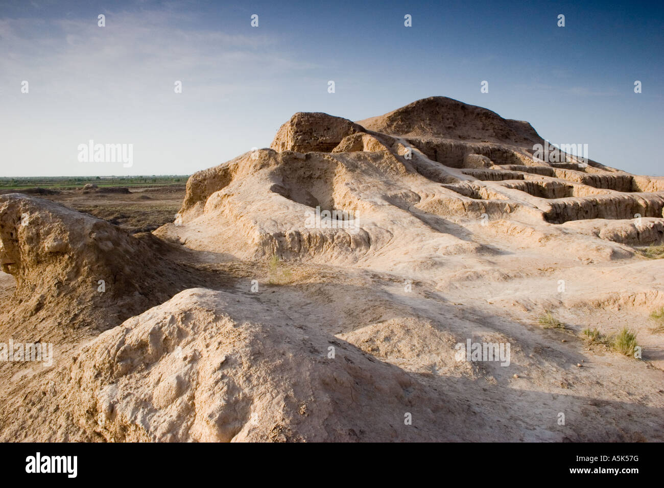 Deserto Kysyl-Kum, Res sabbia, Uzbekistan Foto Stock