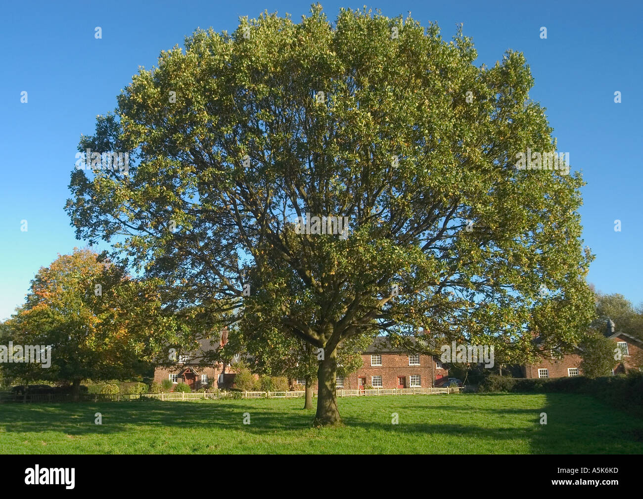 Styal cottages Cheshire Foto Stock