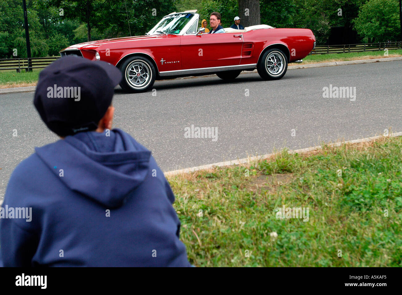 Gli appassionati di Mustang e loro Mustangs a Flushing Meadows Park Foto Stock