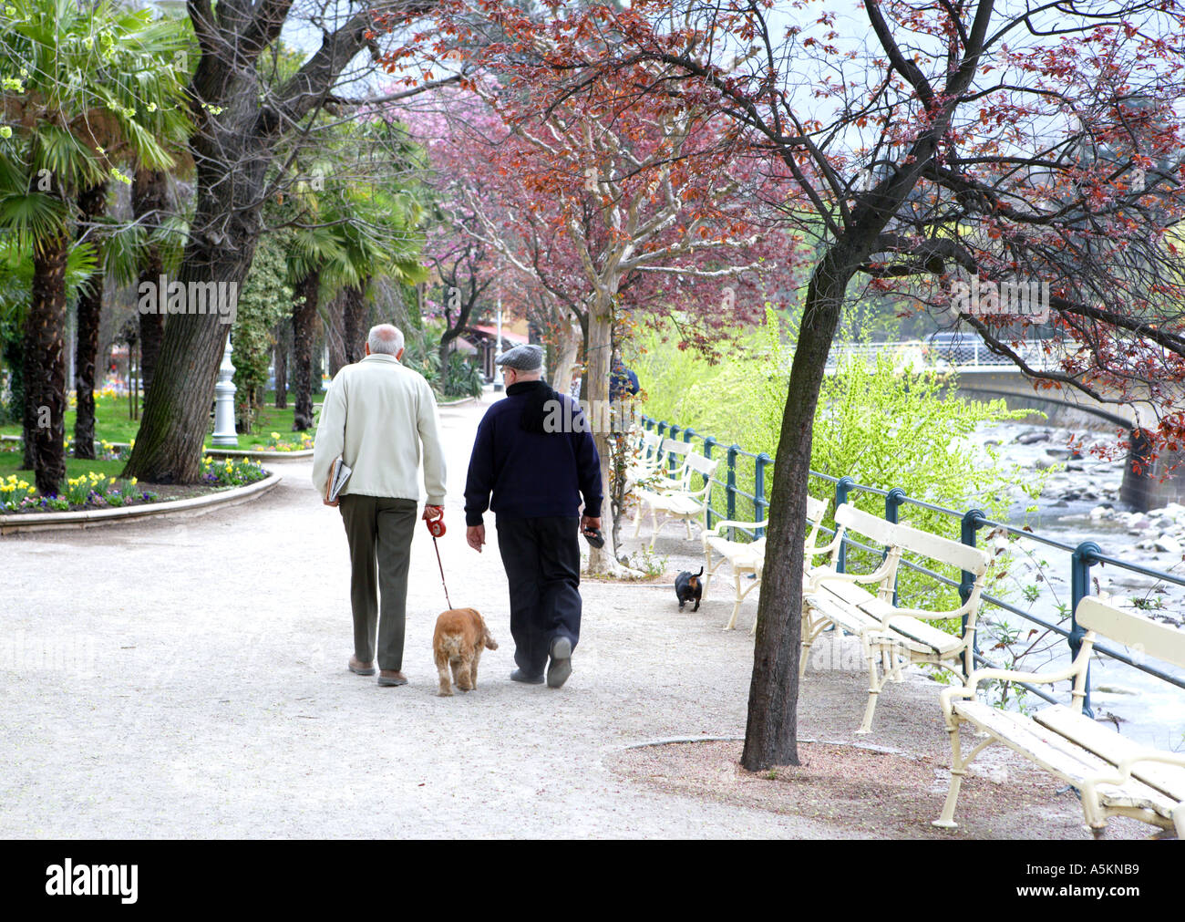 Camminare lungo la passeggiata a mare di Merano Alto Adige Italia Foto Stock