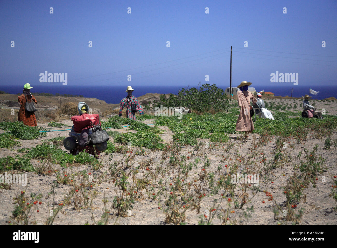 Un raduno di scarescrows in Grecia Santorini Foto Stock