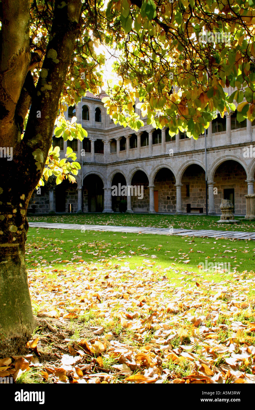 Il chiostro del convento di San Esteban de Ribas de Sil, in Orense Claustro del Monasterio de San Esteban de Ribas de Sil, en Foto Stock