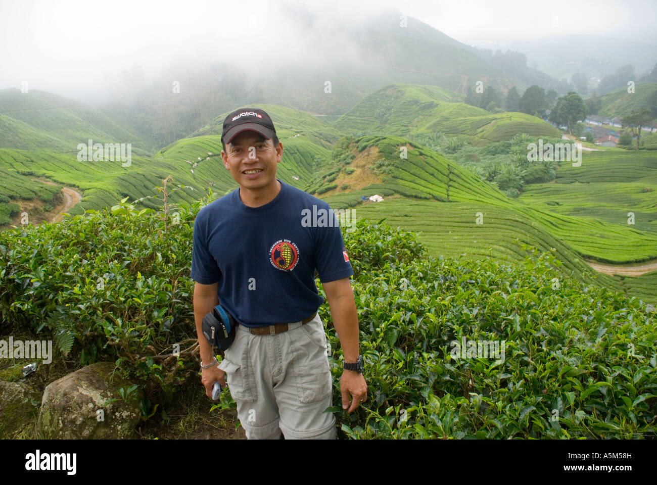 Una guida turistica malese di lingua inglese nelle piantagioni di tè nelle Cameron Highlands della Malesia Foto Stock