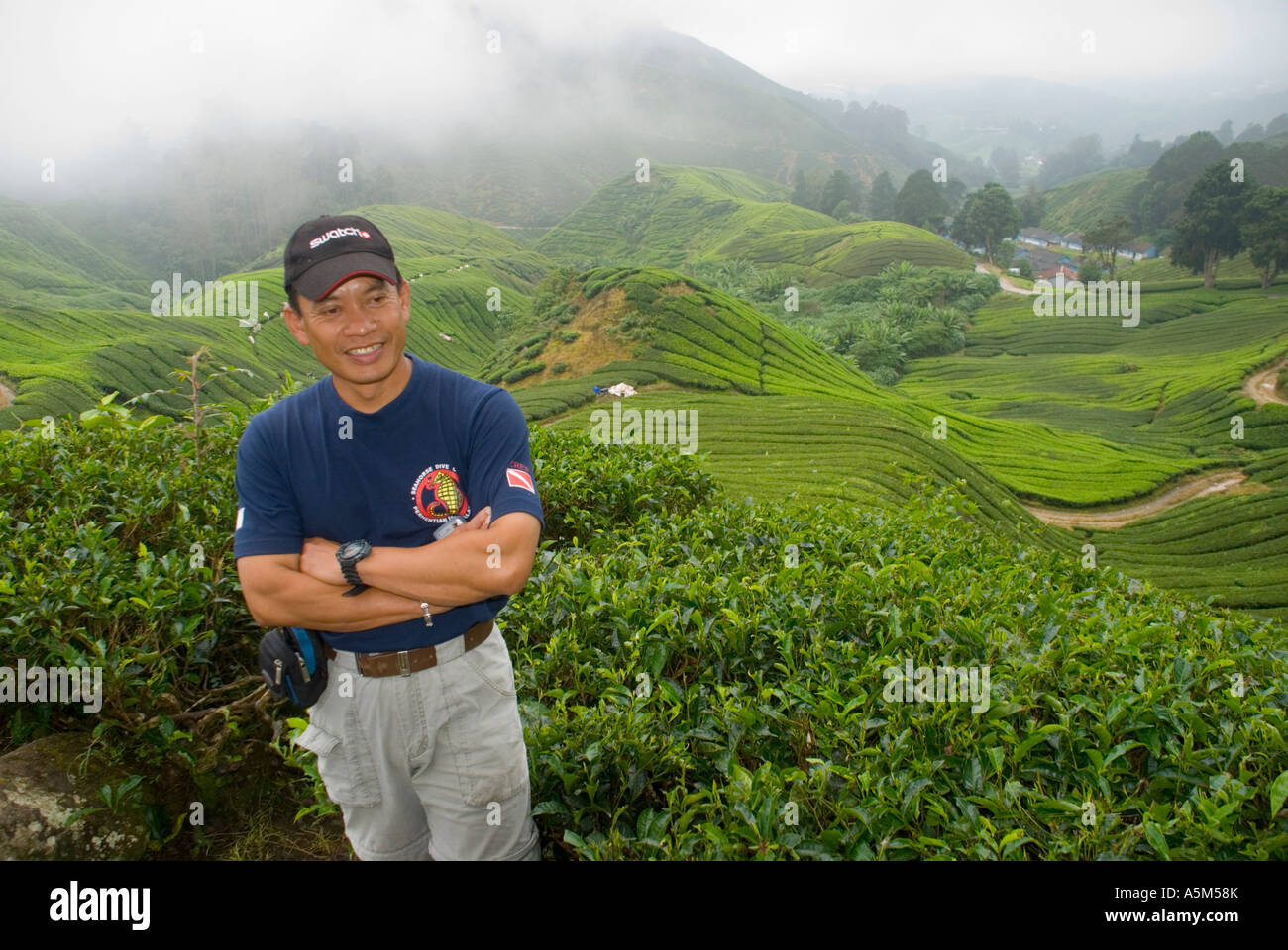 Una guida turistica malese di lingua inglese nelle piantagioni di tè nelle Cameron Highlands della Malesia Foto Stock
