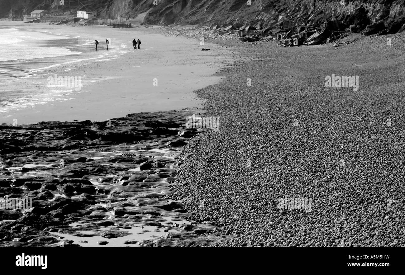 Paesaggio bianco e nero di Whitecliff Bay Beach, Isola di Wight, Inghilterra, Regno Unito, GB. Foto Stock Paesaggio bianco e nero di Whitecliff Bay Beach, Isola di Wight, Inghilterra, Regno Unito, GB. Foto Stock