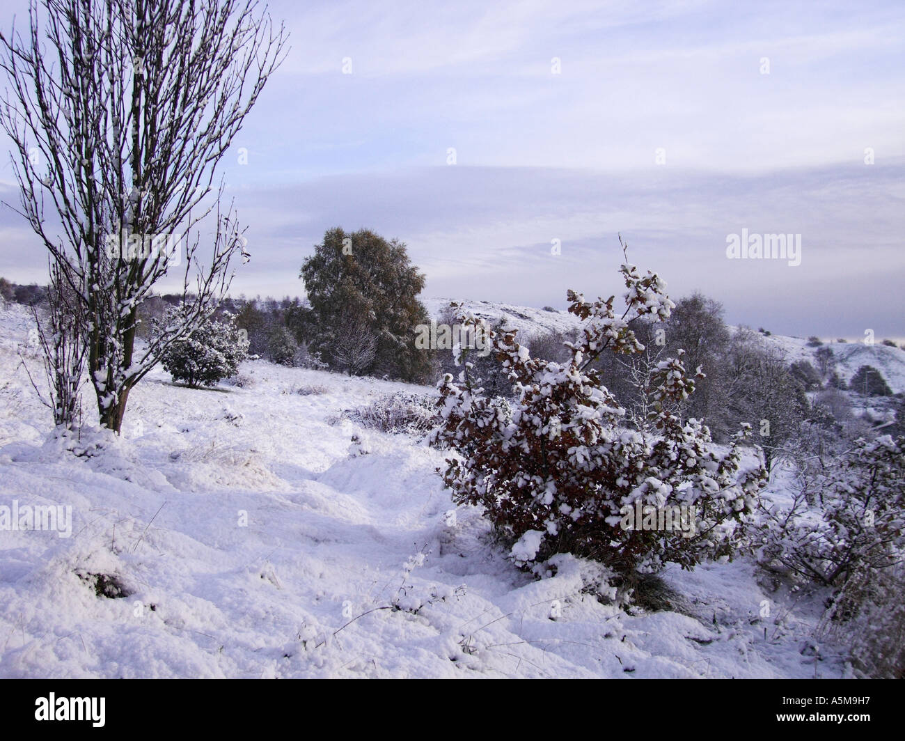 Mattina neve sulla campagna Parkhall Park, Stoke-On-Trent, Staffordshire. Foto Stock