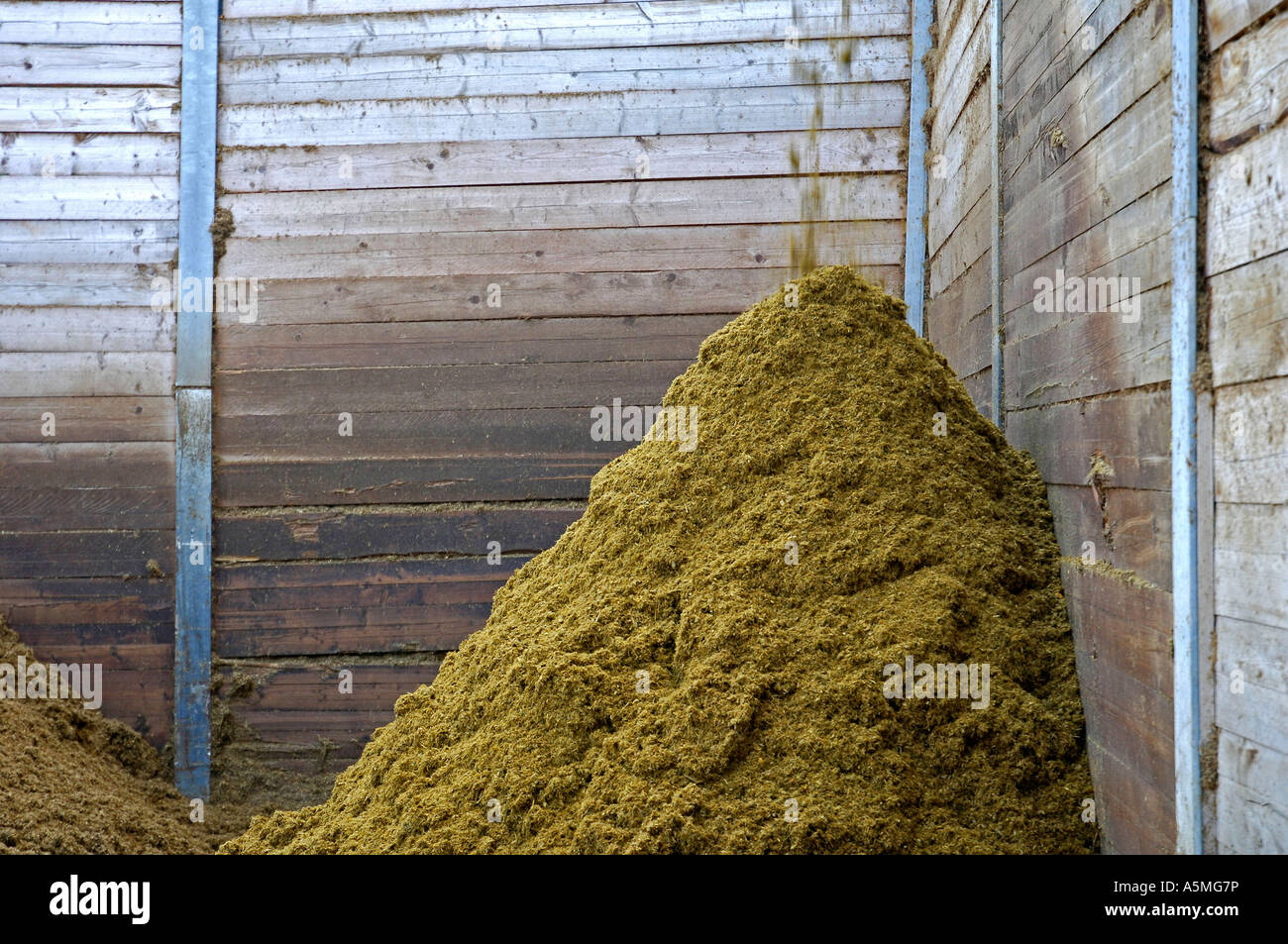 Biodigester reattore anaerobico gas naturale energia risorse naturali Foto Stock