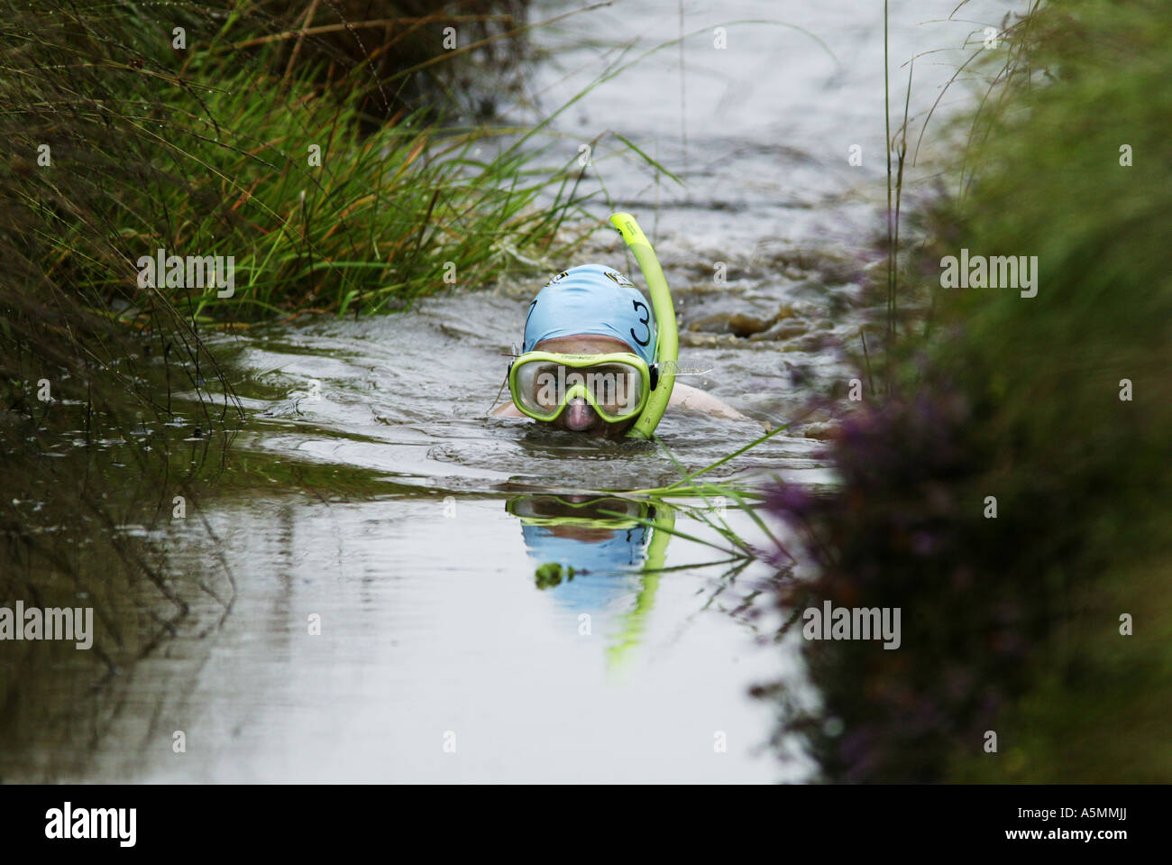 Il mondo Bog Snorkelling campionati a Waen Ryth torbiera in Galles centrale REGNO UNITO Foto Stock