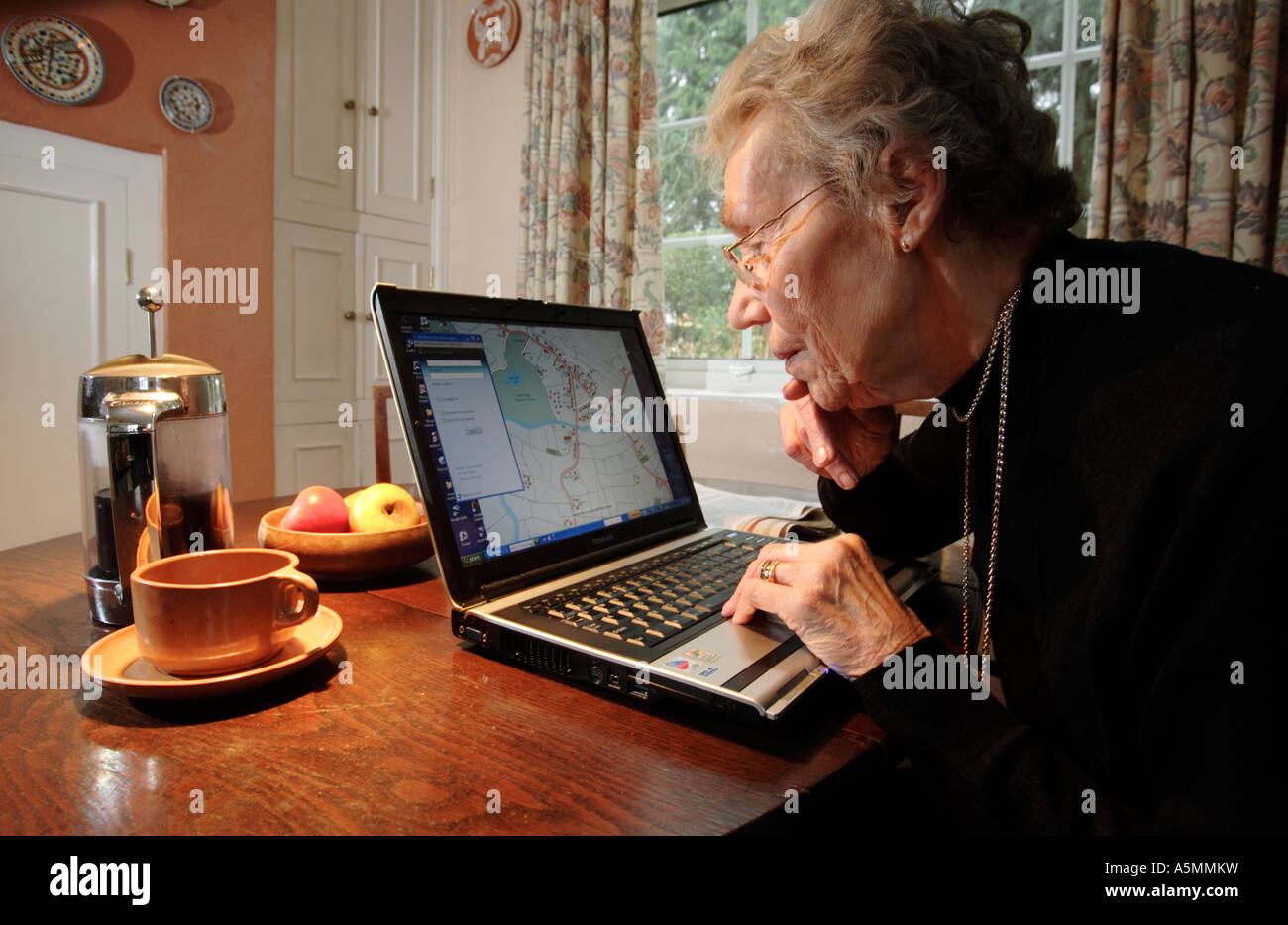Una donna anziana utilizza internet sul suo computer portatile a casa nella sua sala da pranzo Foto Stock