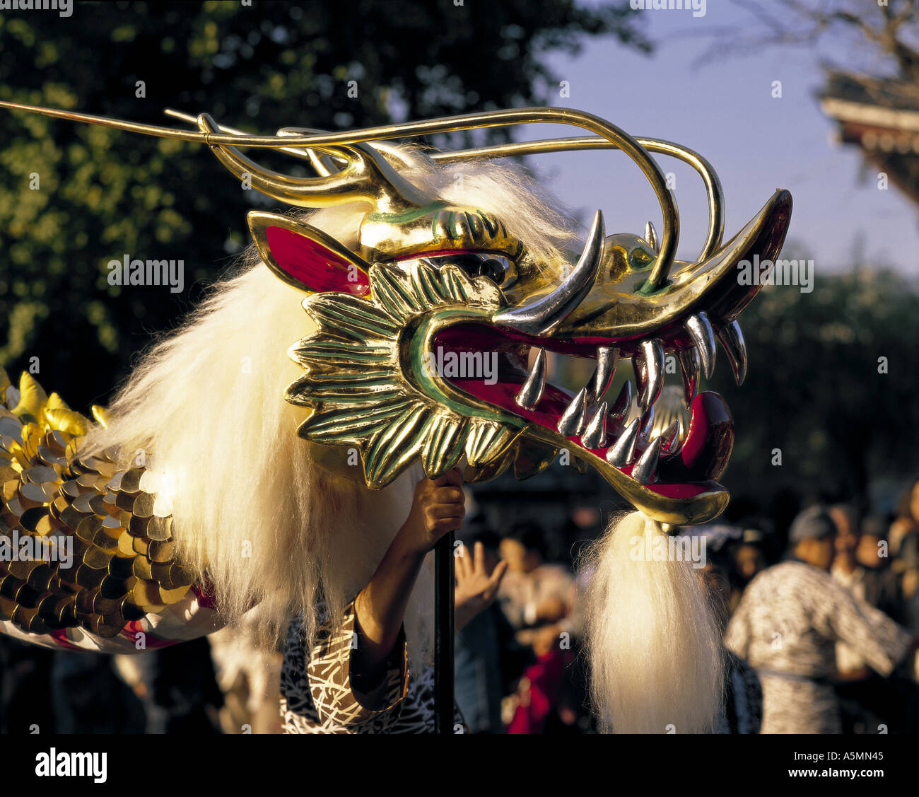 Golden Dragon festival al Tempio di Asakusa Tokyo Giappone Foto Stock