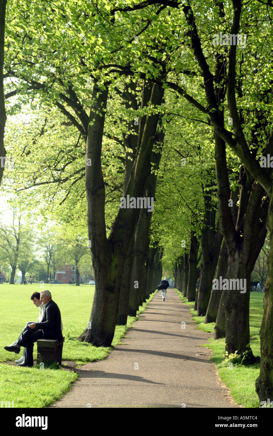 Primavera viale alberato del Victoria Park Leicester Inghilterra REGNO UNITO Foto Stock