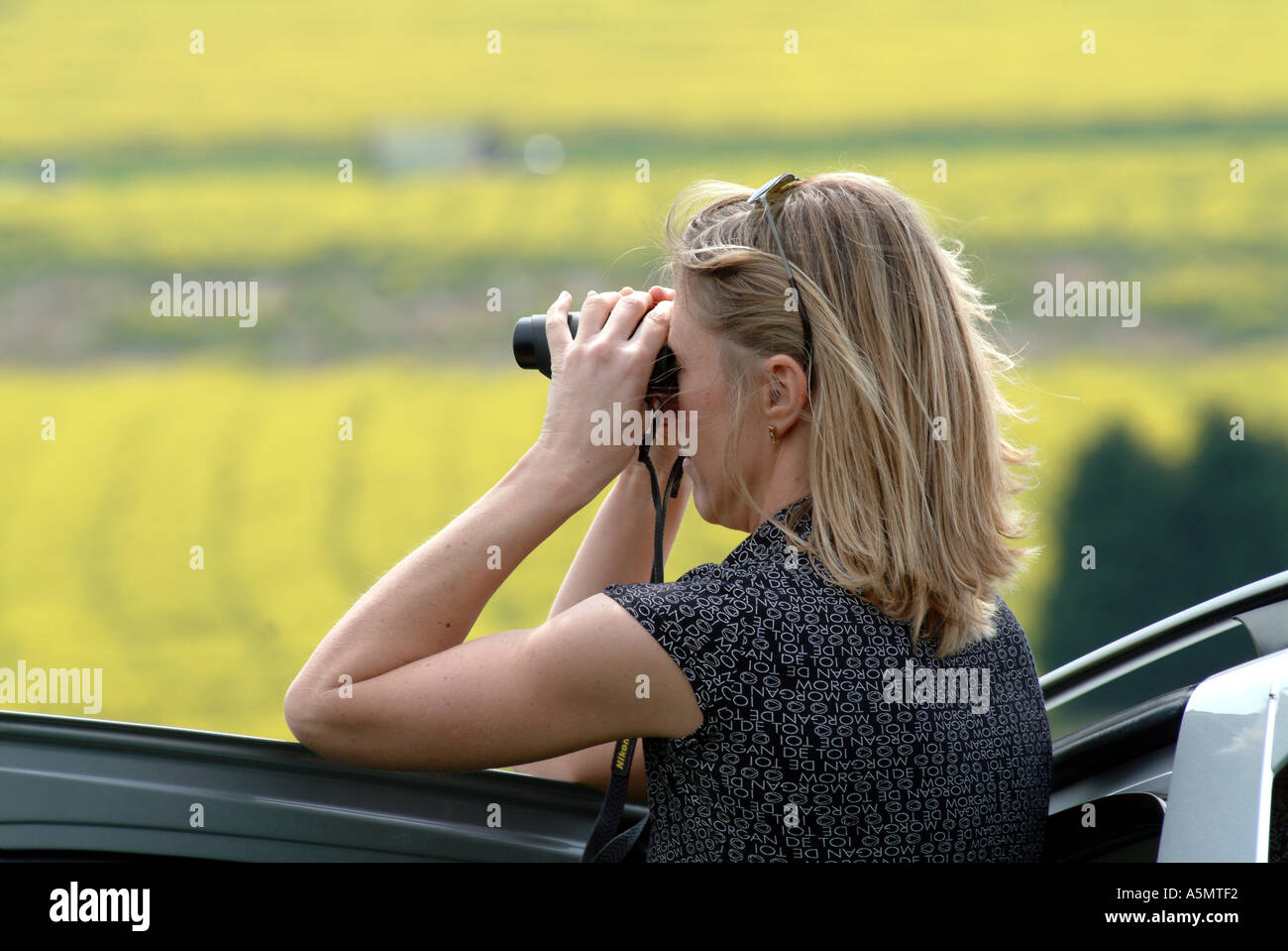 Punto a punto le gare a Dingley Nr Market Harborough Leicestershire Inghilterra Racegoer con il binocolo Foto Stock