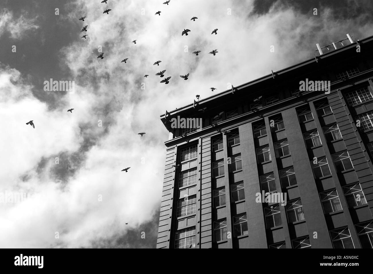 Libertà Foto Stock