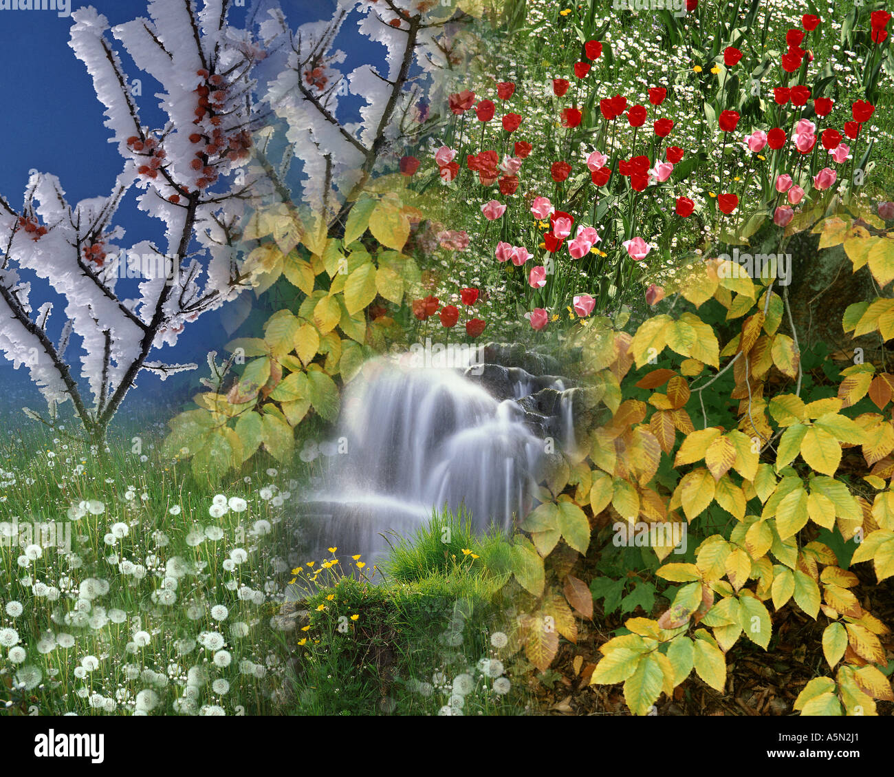 Concetto digitale: Le Quattro Stagioni Foto Stock