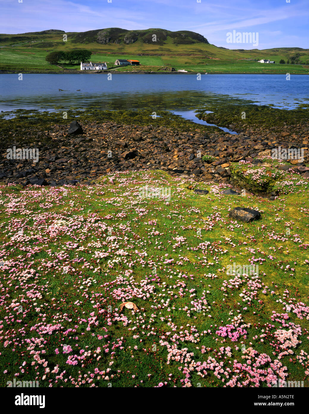 GB - SCOZIA: Loch Beag sull'isola di Skye Foto Stock