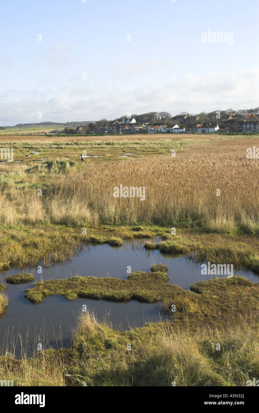 Costiera palude d'acqua dolce con Cley village in background Foto Stock